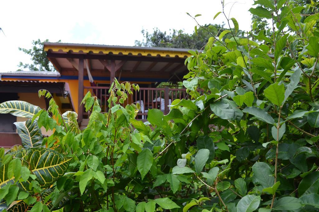 L'Ecomusee Creole De La Guadeloupe Sainte-Rose Exterior foto